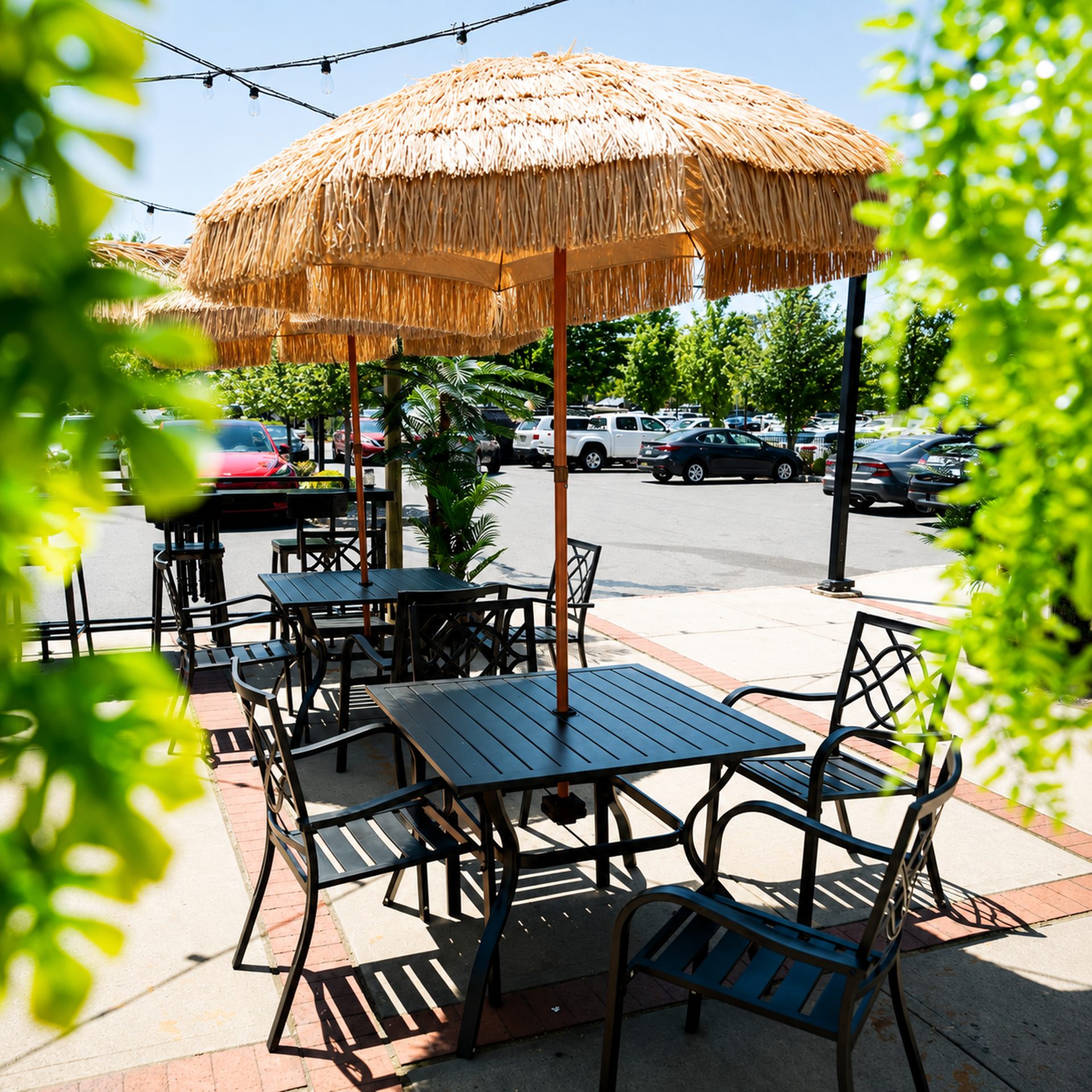 Latin Port – Metuchen